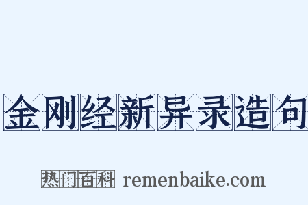 金刚经新异录造句是什么意思的图片